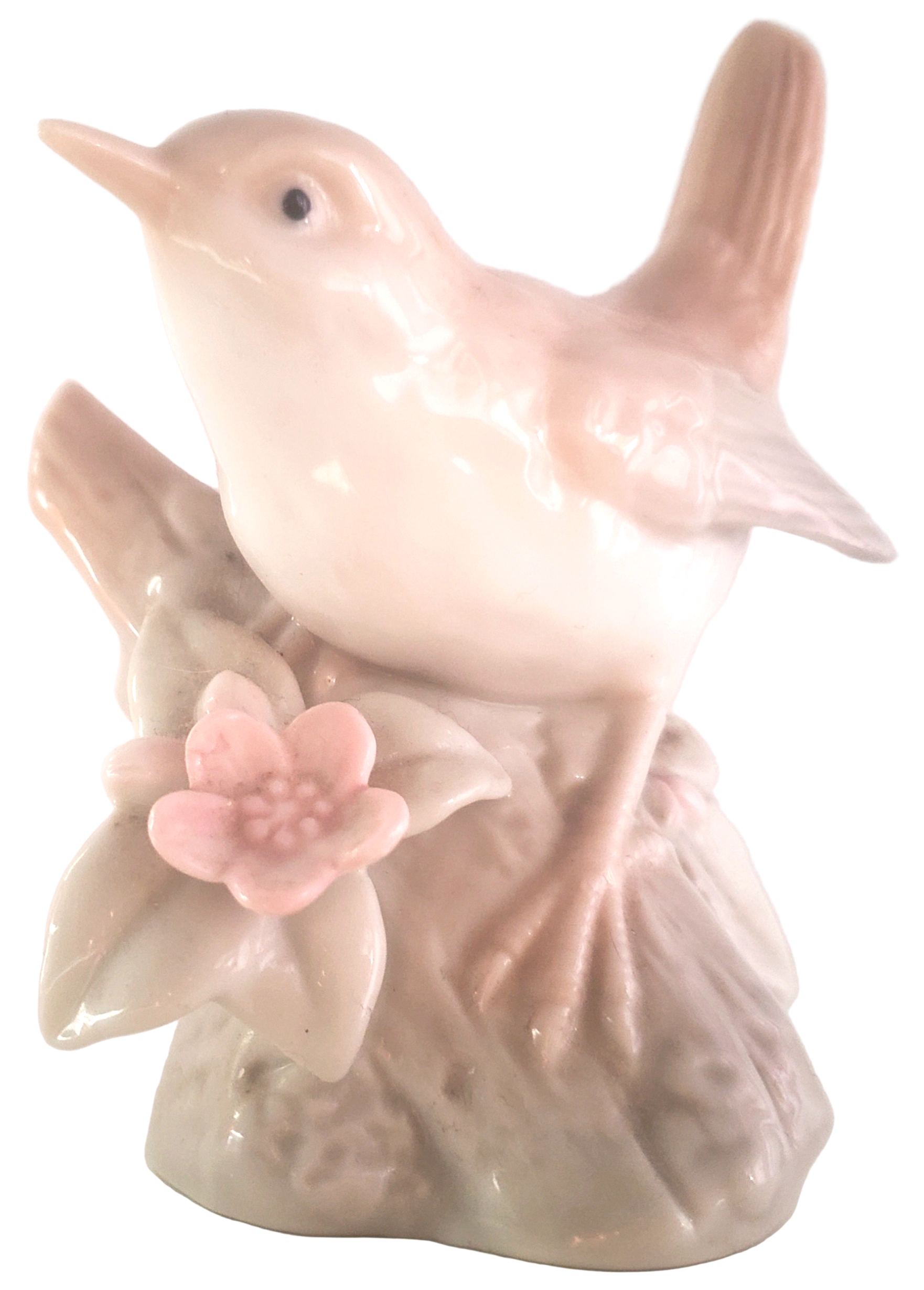Beige bird